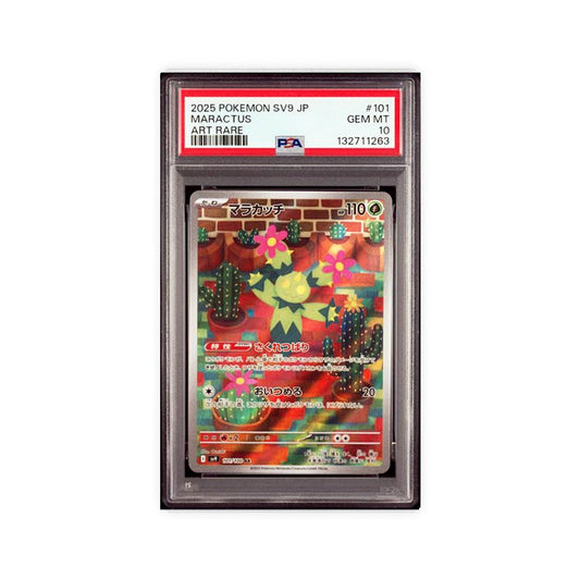 Maractus - Art Rare - 101