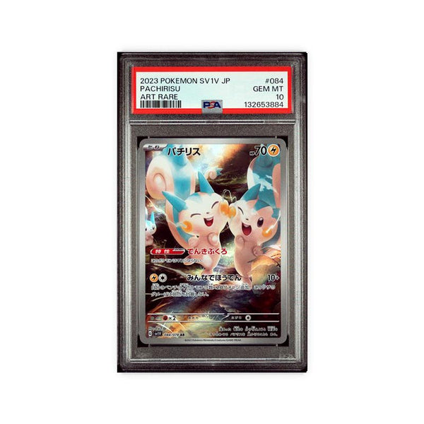 Pachirisu - Art Rare - 84