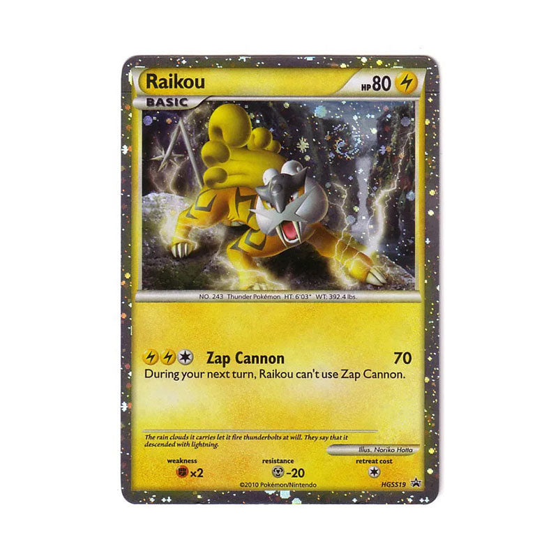 Raikou - HGSS19
