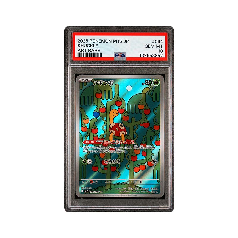 Shuckle - Art Rare - 064
